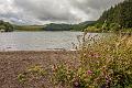 2017_08_11_Auvergne (0050)